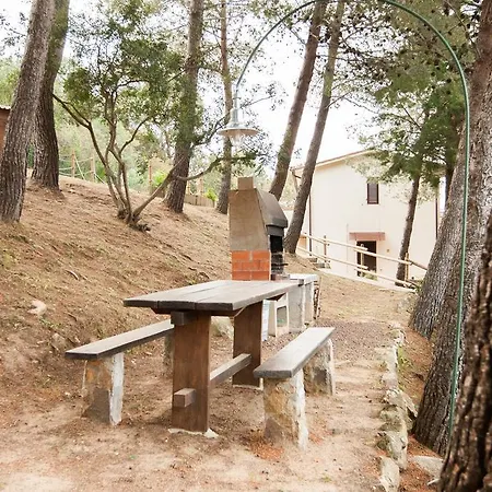 Le Mimose 3* プロッキオ