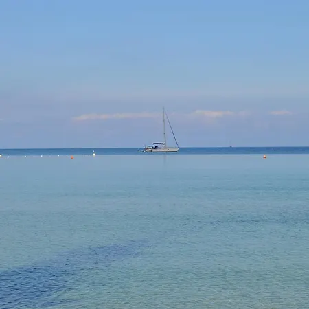 Le Mimose 3* プロッキオ